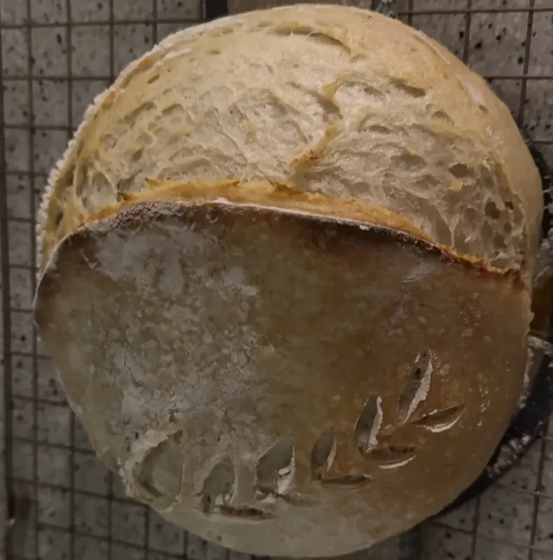 Original Sourdough