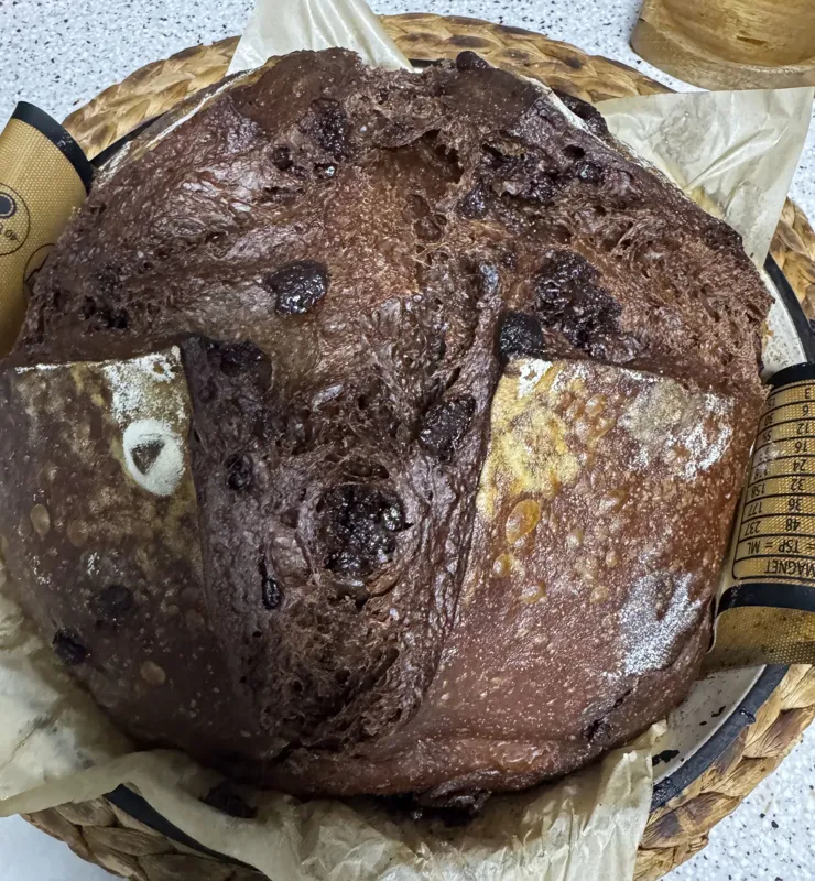 Double Chocolate Chip Sourdough