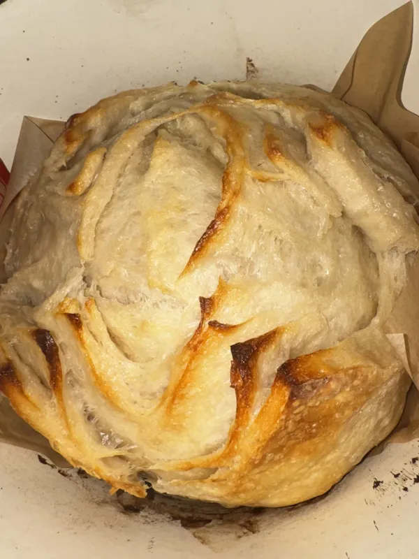 Croissant Sourdough