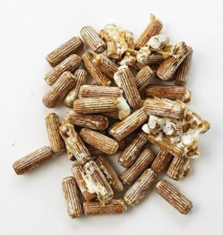 Shiitake Mushroom Spawn Plugs