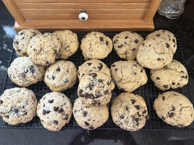 Sourdough Chocolate Chip Cookies