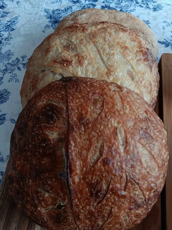 Sourdough Bread