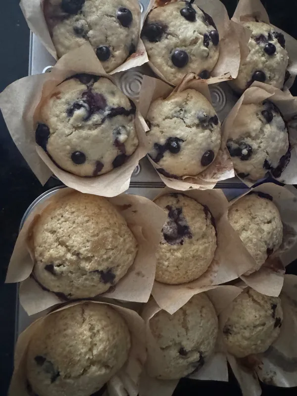 Sourdough Muffins