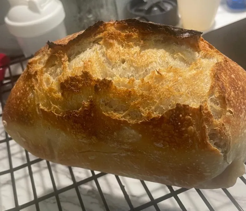 Classic Artisan Sourdough