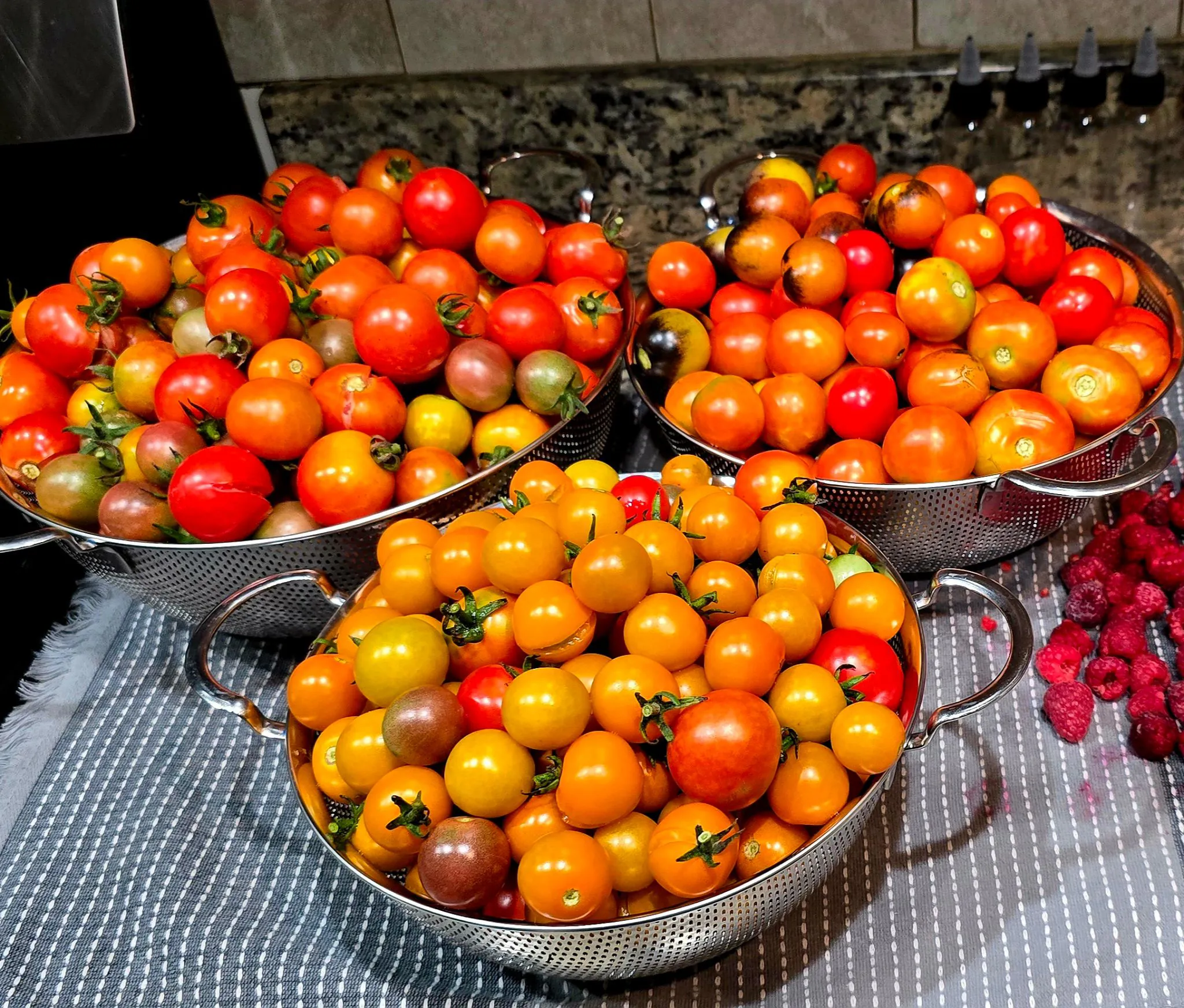 Hanover Tomatoes | Mountain Artisan LLC dba ZachsGarden