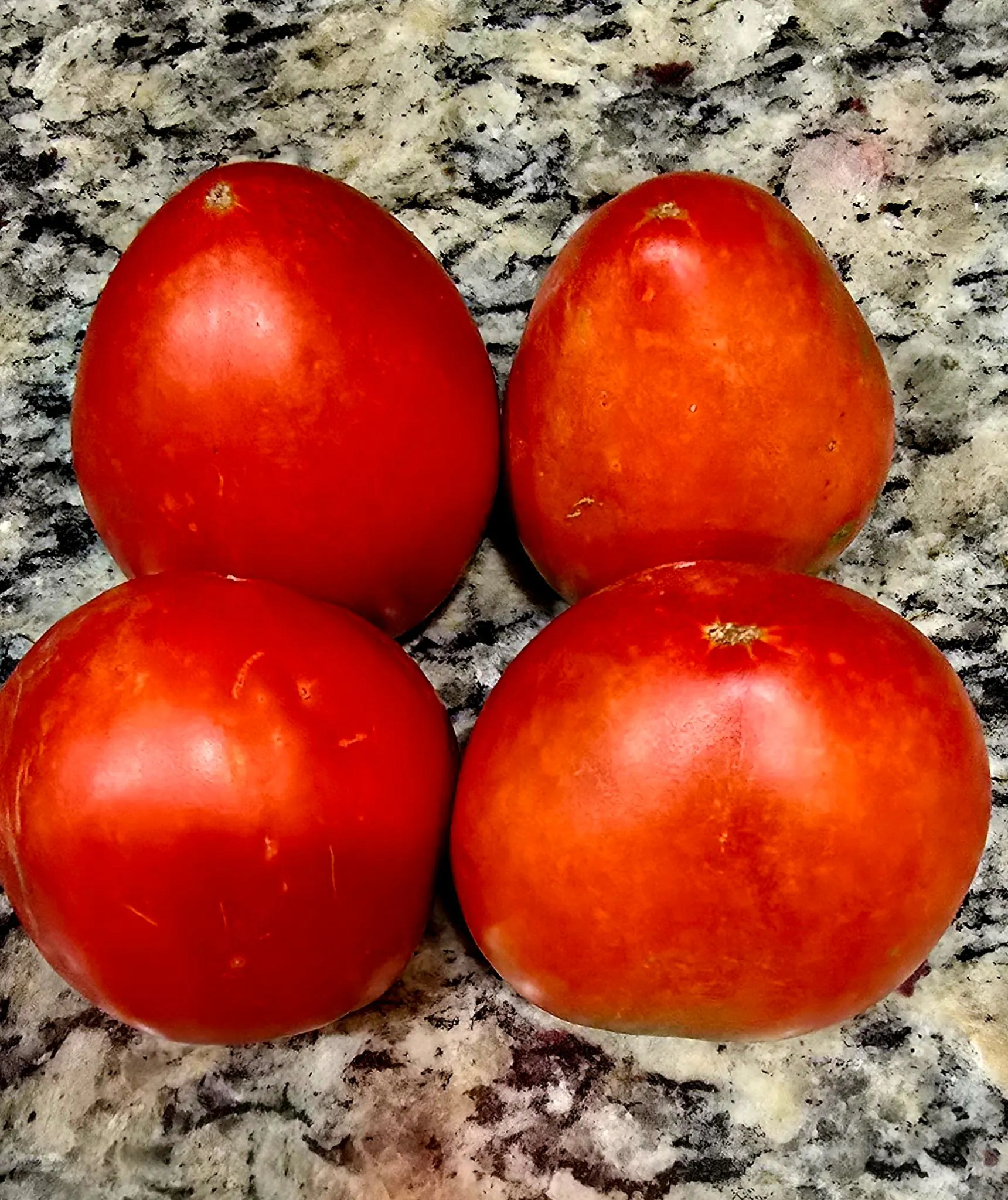 Hanover Tomatoes | Mountain Artisan LLC dba ZachsGarden