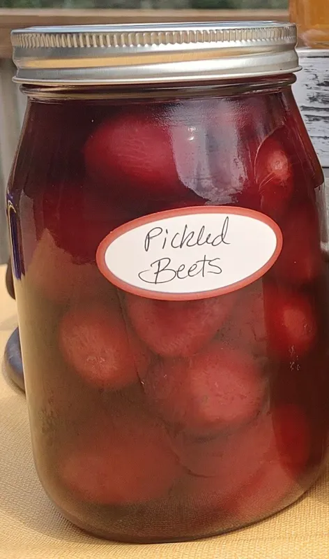Pickled Beets