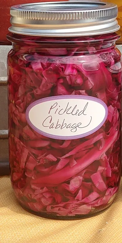 Pickled Cabbage