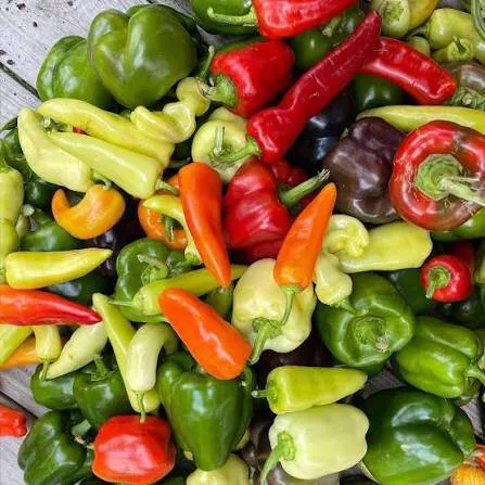 Produce-Pepper Options