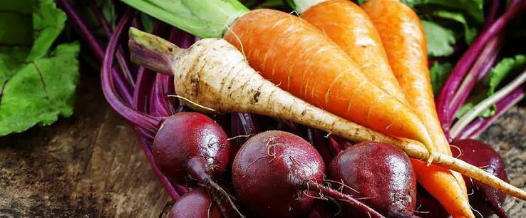 Produce-Root Crop Options
