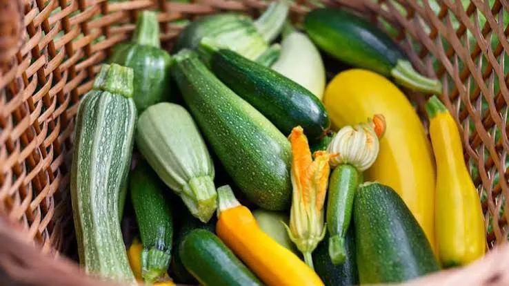 Produce-Squash Options