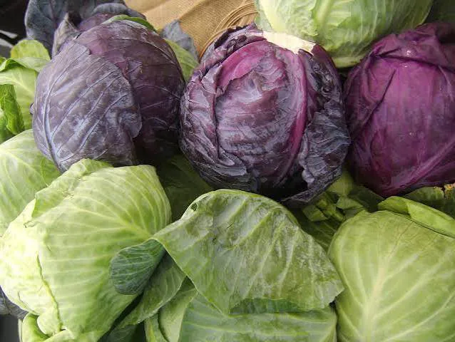 Produce-Cabbage Options