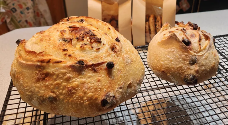 Cranberry Walnut Sourdough Bread