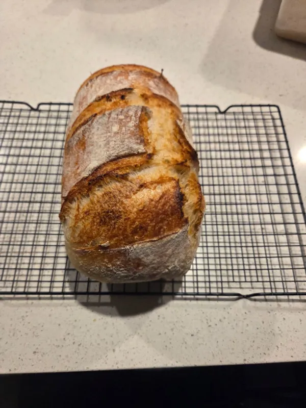 Timeless Sourdough Loaf