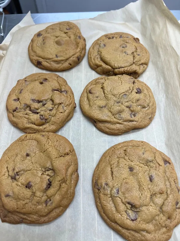 Cookies- Flight (6)
