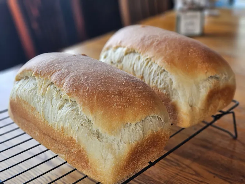 Soft Sourdough Sandwich Loaf