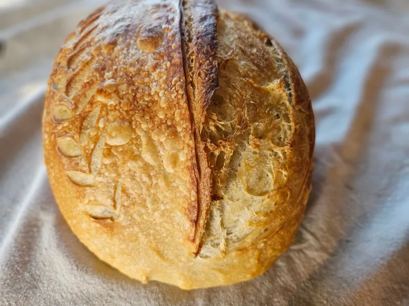 Classic Sourdough Loaf