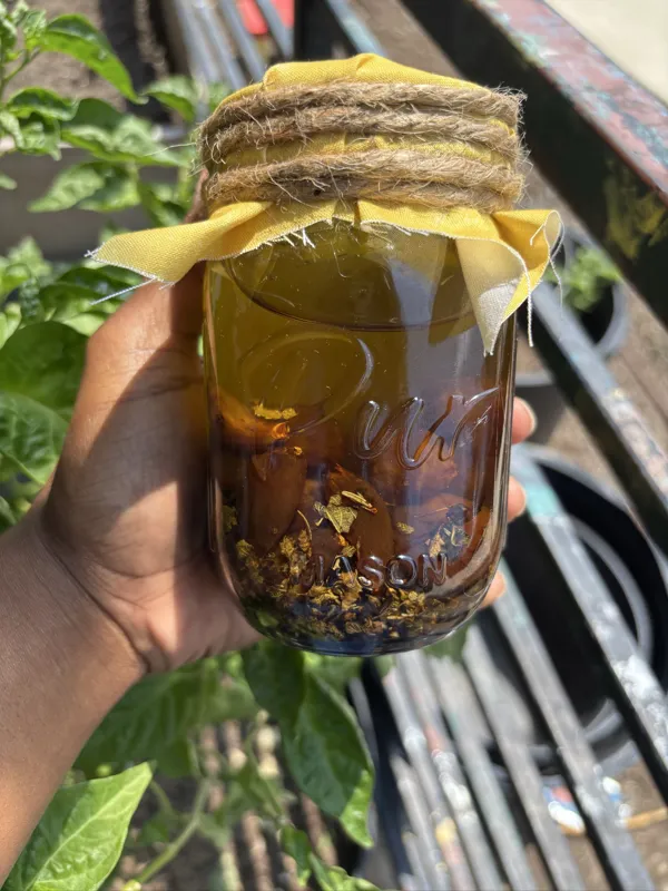 Dark chewy Garlic Confit