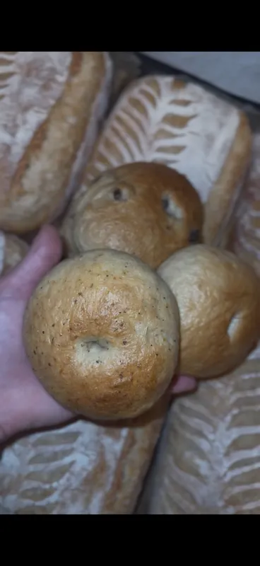 Sourdough Bagels