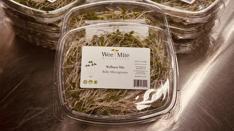 Wellness Mix Baby Microgreens