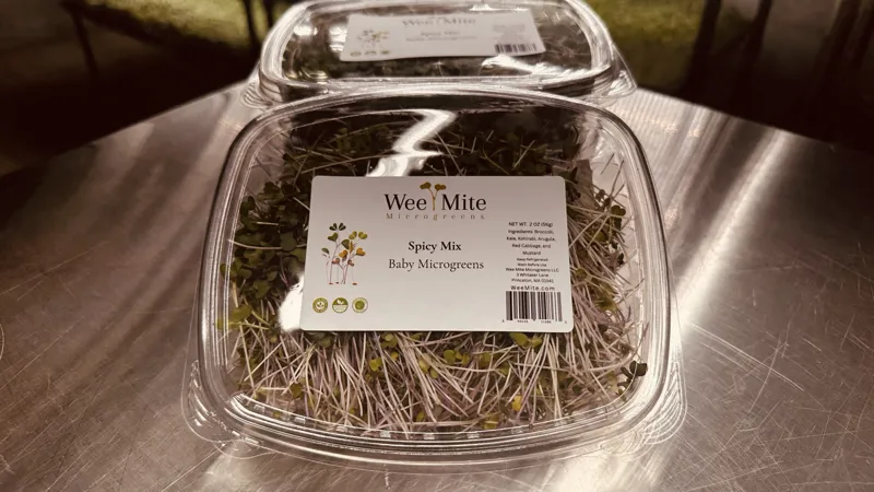 Spicy Mix Baby Microgreens