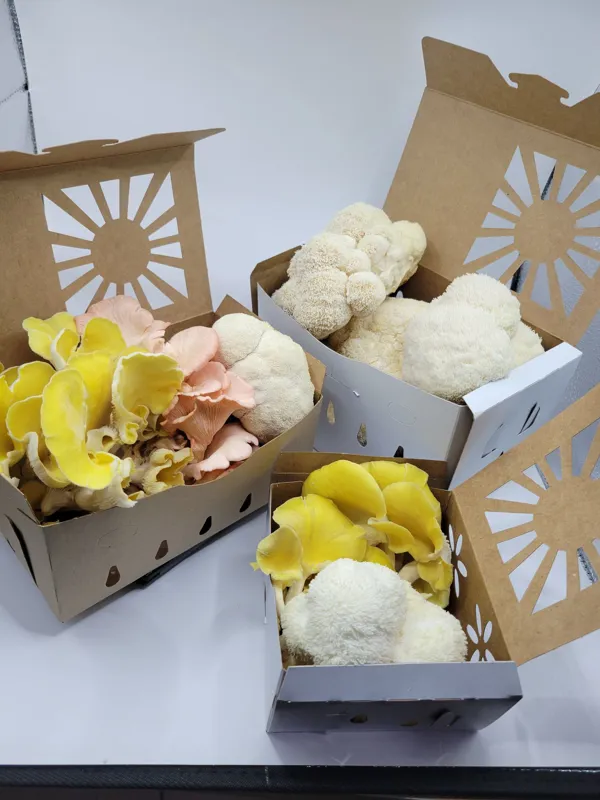 Chef's variety pack