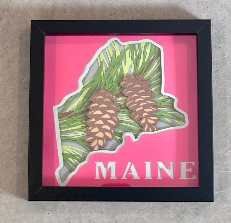 Maine pinecone shadow box