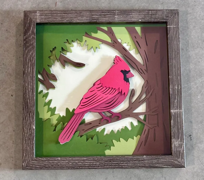 Cardinal shadow box