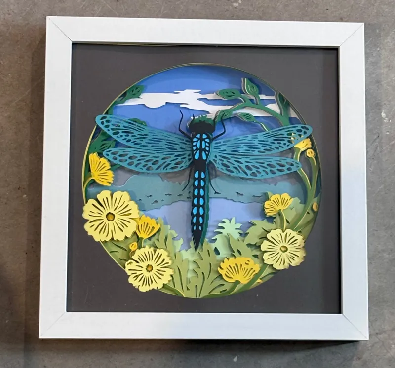 Dragonfly shadow box