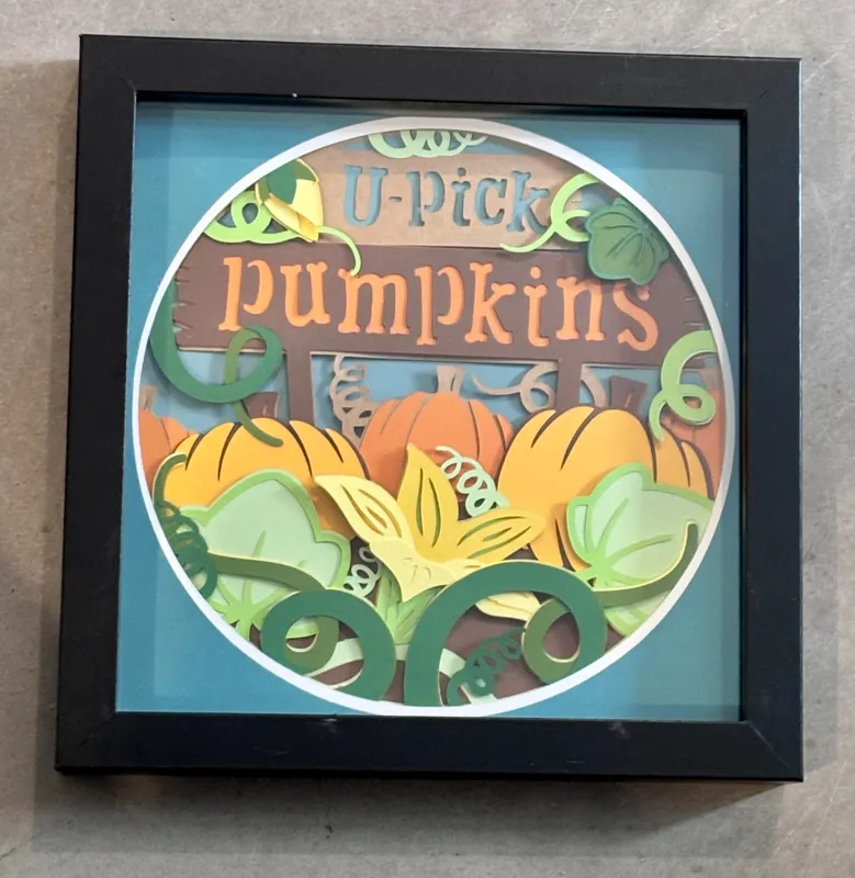 Pumpkin patch