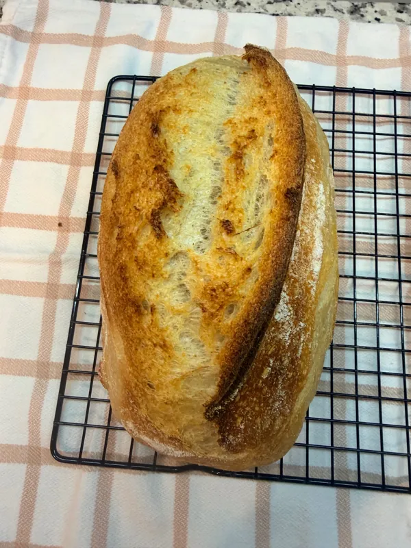 Sourdough Batard (oval)