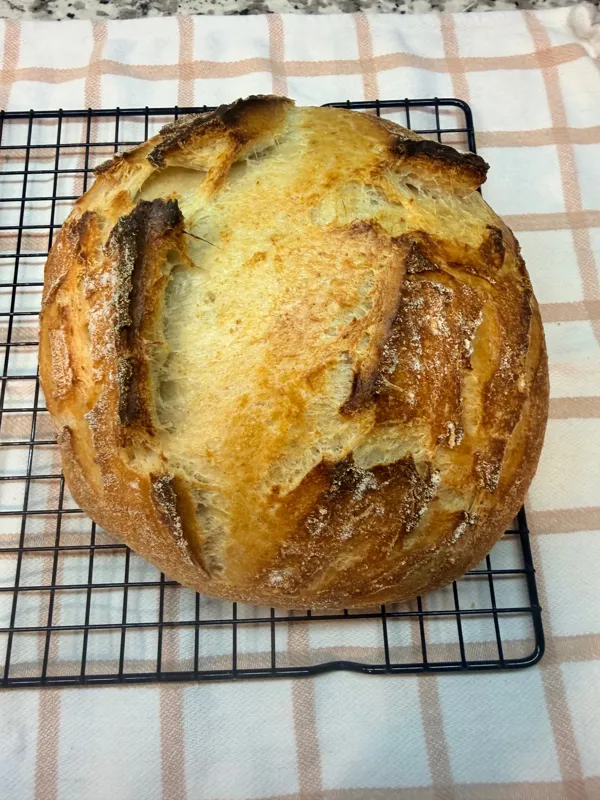 Sourdough Boule (round)