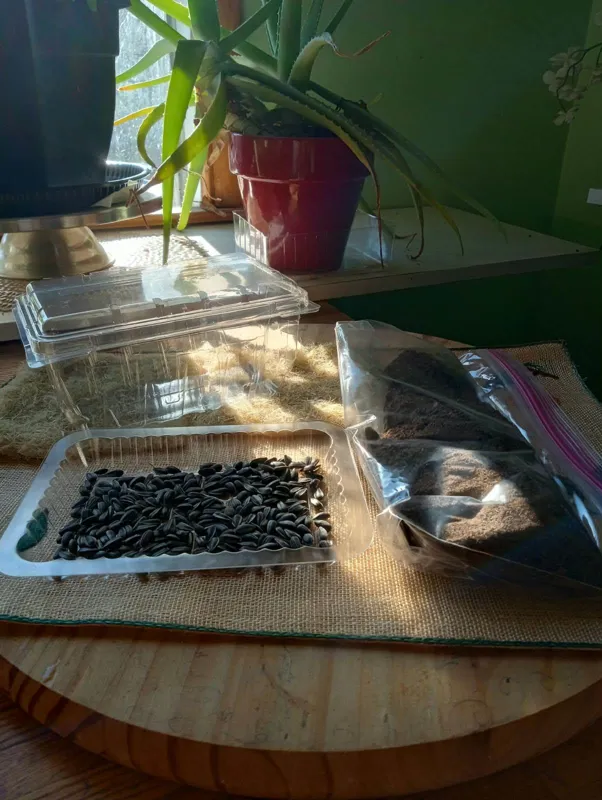 OstroVolt Microgreenhouse