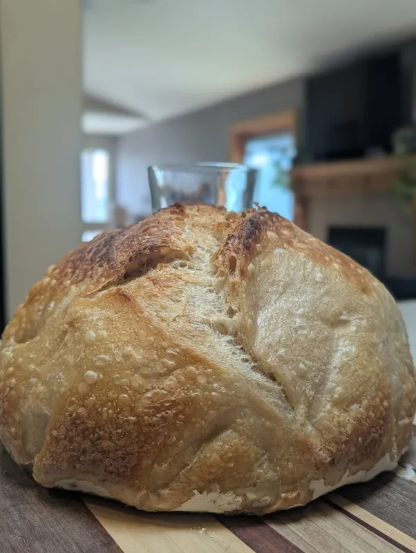 Plain Jane Sourdough Boule