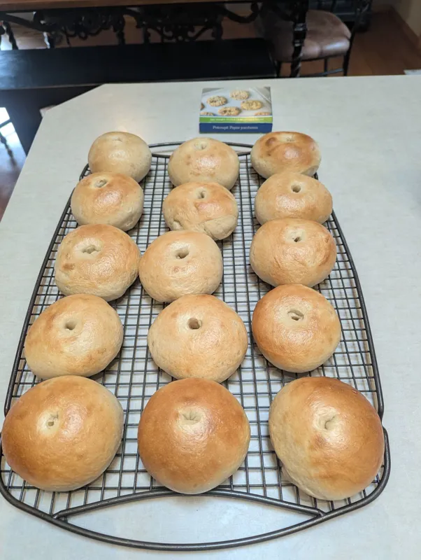 Plain Jane Sourdough Bagels (half dozen)