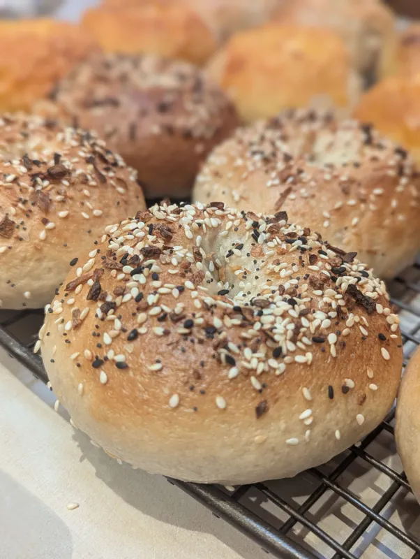 Seedy Business (everything seasoning) Bagels (half dozen)