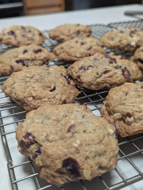 Cranberry Oatmeal Cookies (half dozen)