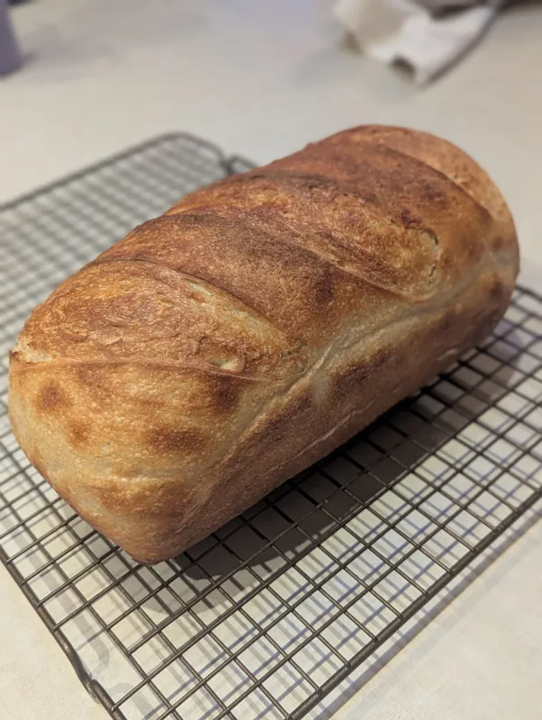 The Wonder loaf (plain sandwich loaf)