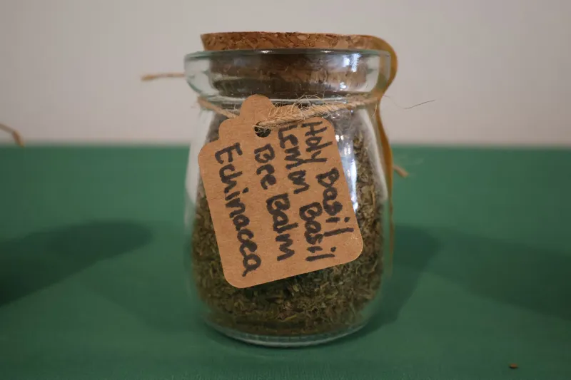 Holy Basil, Lemon Basil, Bee Balm, Echinacea tea