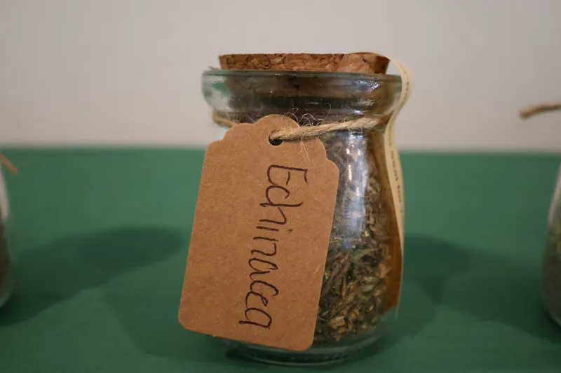 Echinacea Tea