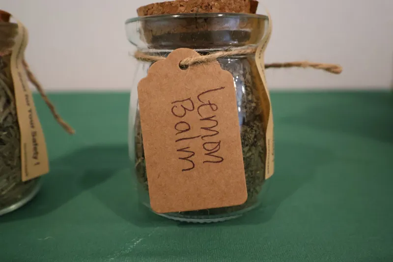 Lemon Balm Tea
