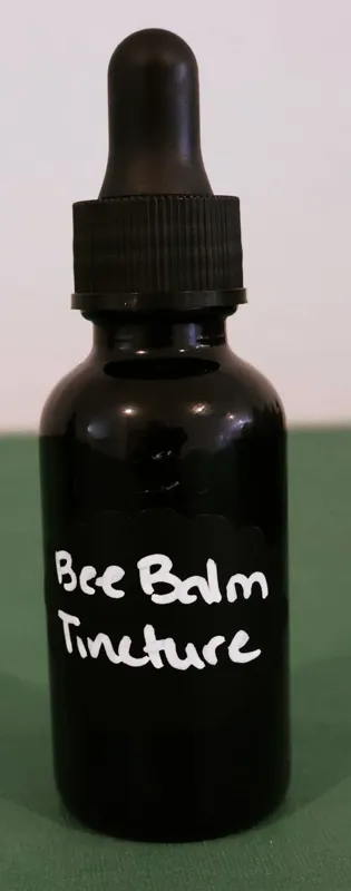 Bee Balm Tincture