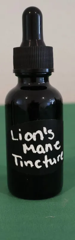 Lion's Mane Tincture