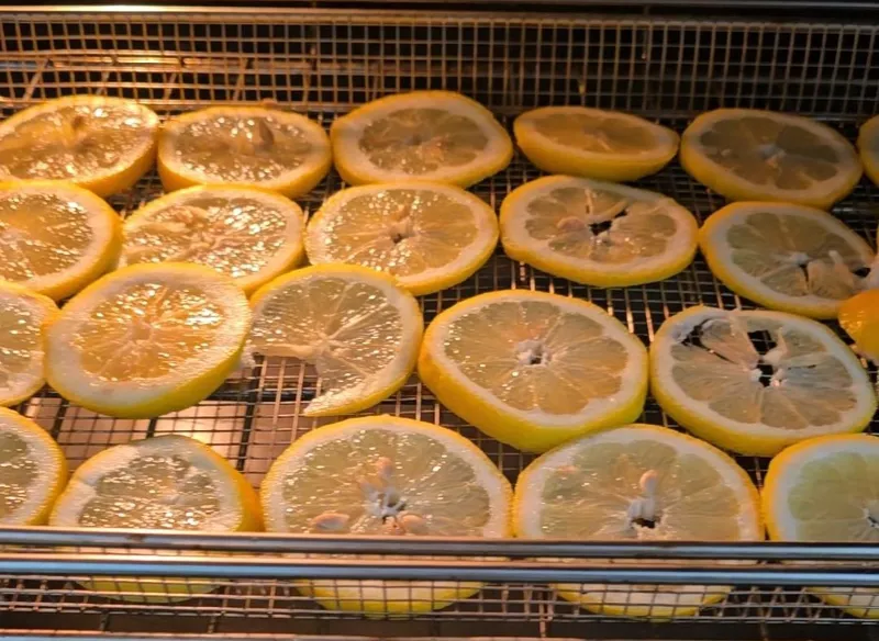 Lemon Infused Honey (medium)
