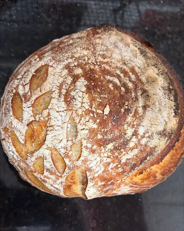 All Classic Sourdough Breads