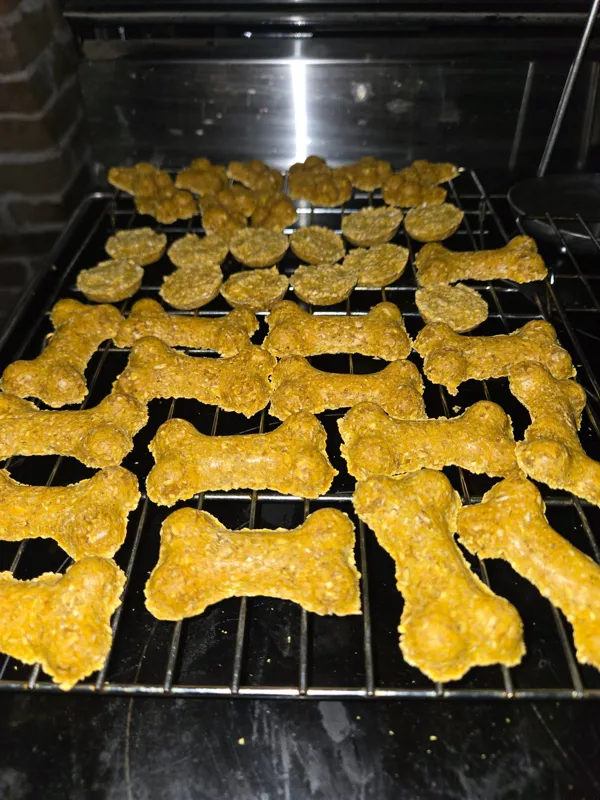 2 Dozen Dog Treats