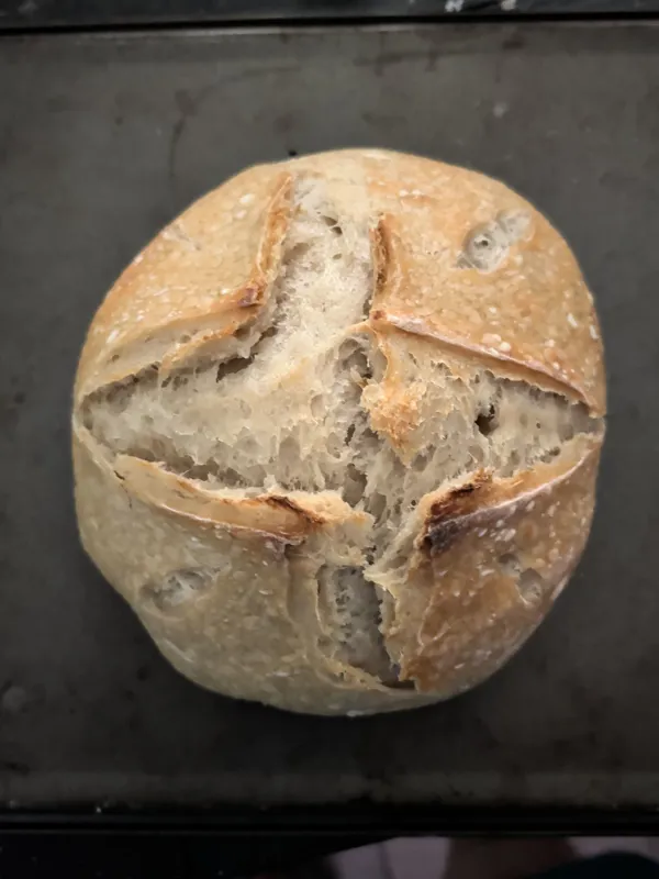 Classic Sourdough Loaf