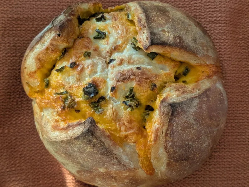 Jalapeno Chedder Sourdough Loaf
