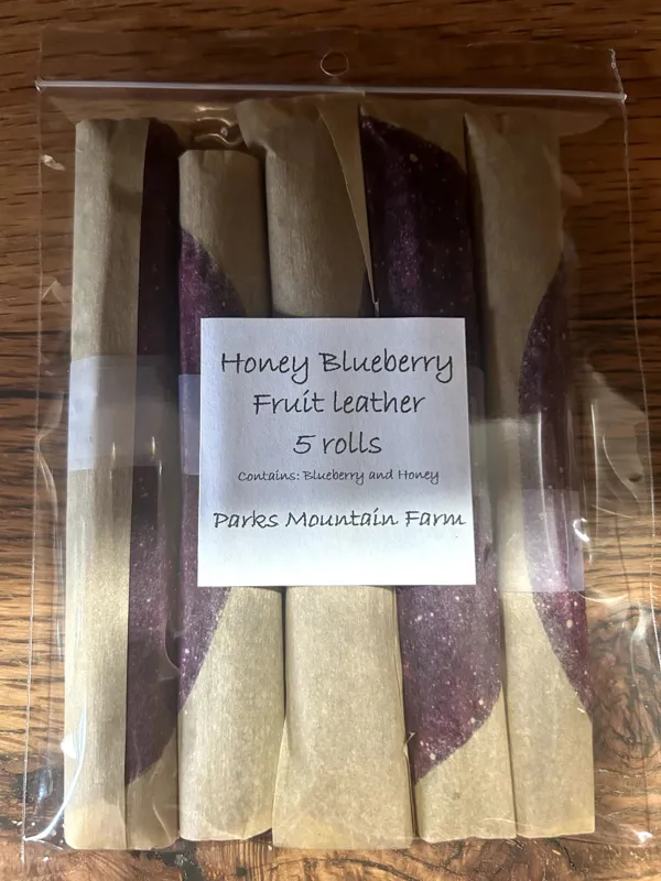 Blueberry Fruit Leather