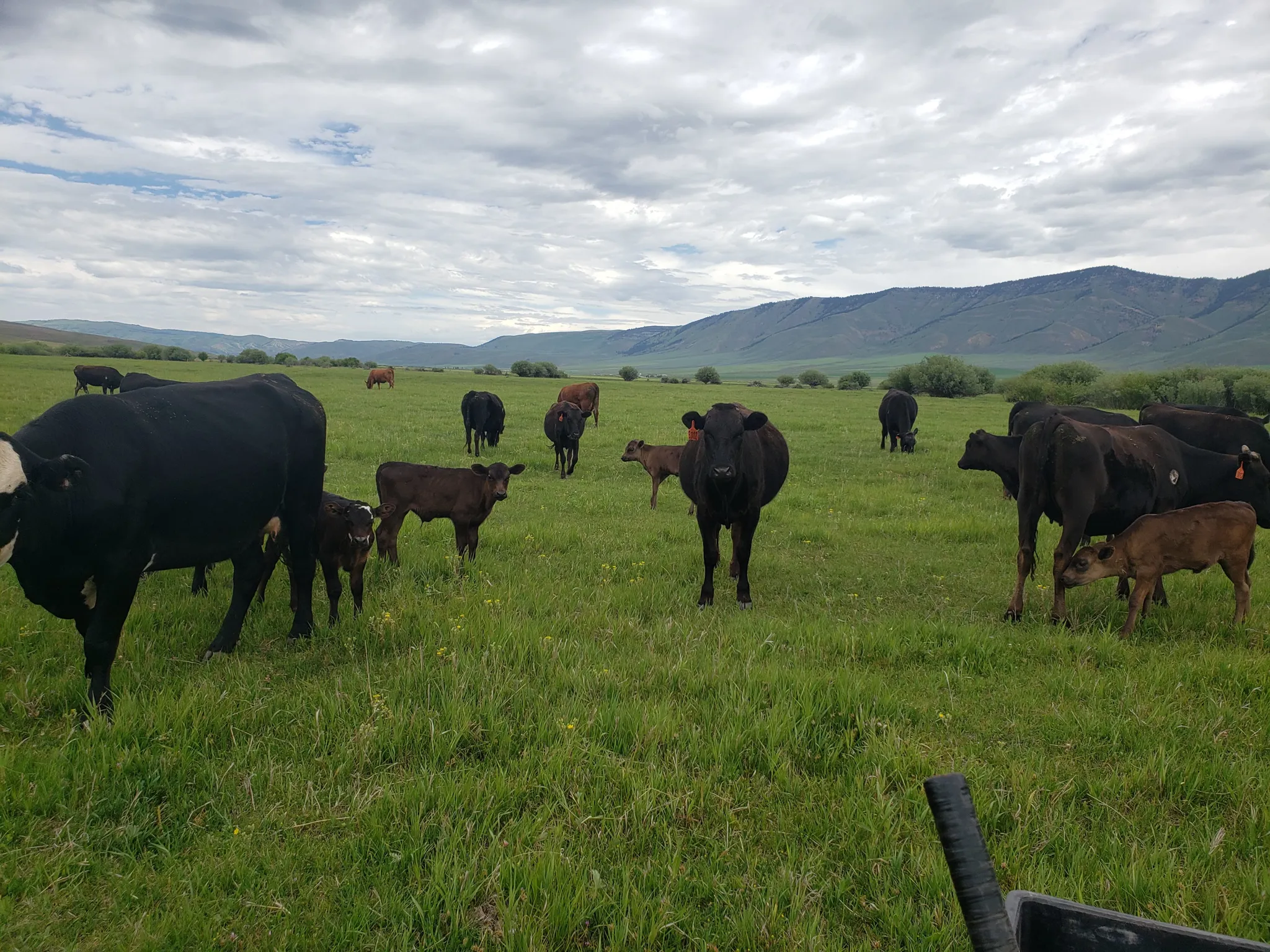 Circle H Ranch